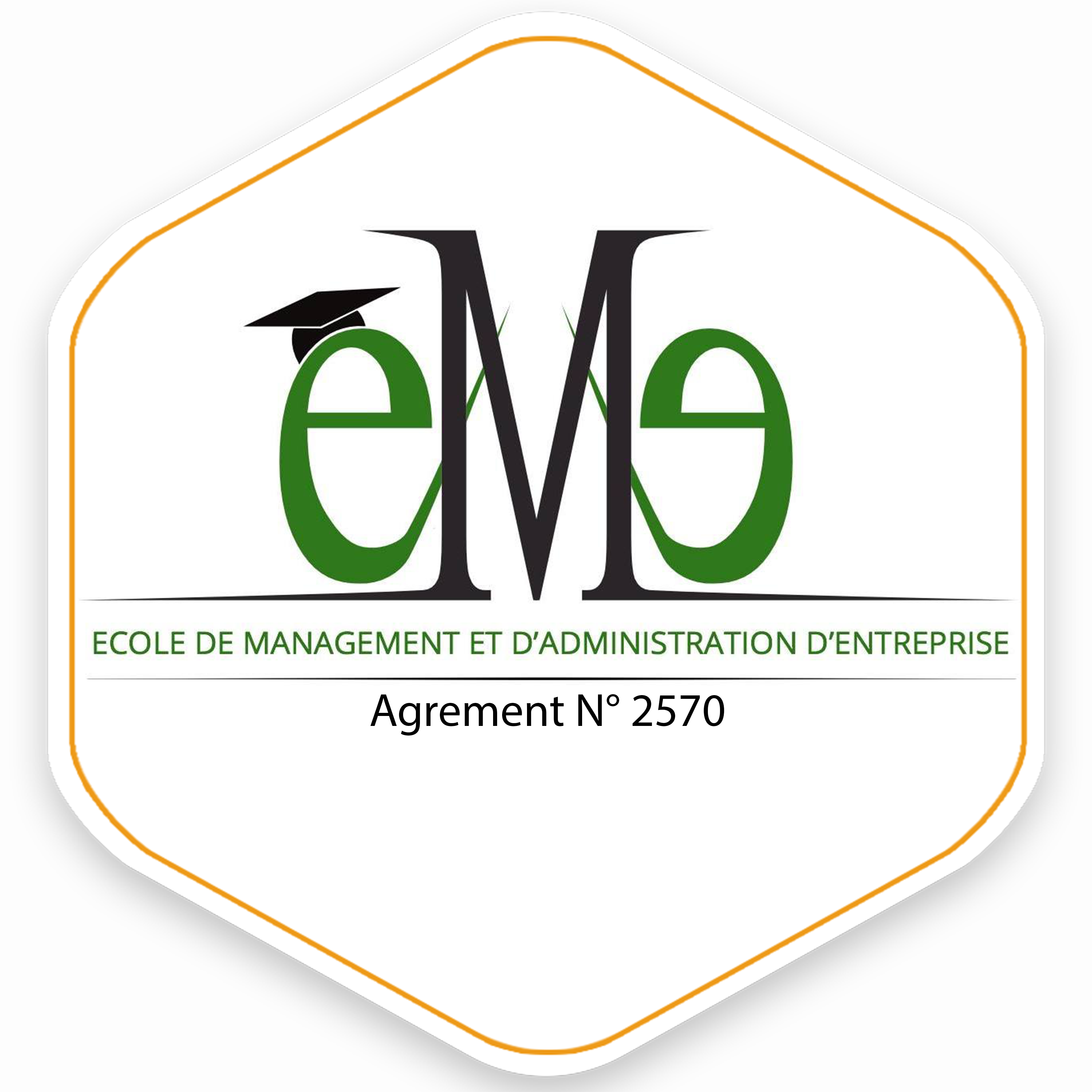 - EMAE  ECOLE DE MANAGEMENT & D'ADMINISTRATION D'ENTREPRISE